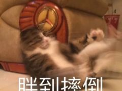 -CoCo都可(合生汇店)