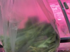 -廣味潮鲜·一品潮滋味(五道口店)