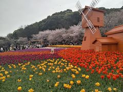 -石湖景区