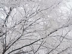 -终南山南五台景区