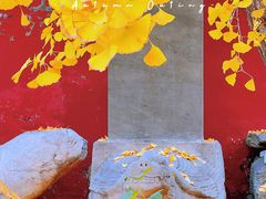 -北京石刻艺术博物馆(五塔寺)