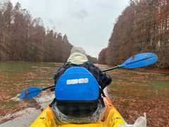 -上海海湾国家森林公园