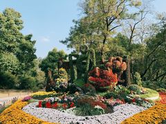 -上海共青森林公园