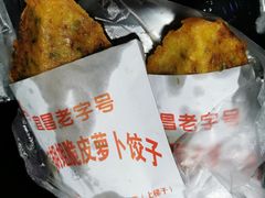 萝卜饺子-半月镰胡姐脆皮萝卜饺子