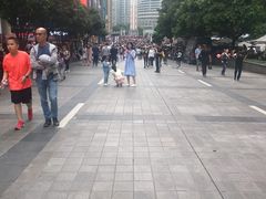 -WFC会仙楼观景台