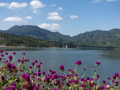 -白河堡水库