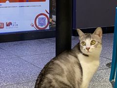 -谜盒子奇幻密室(南屏店)