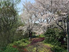 -白马涧龙池景区