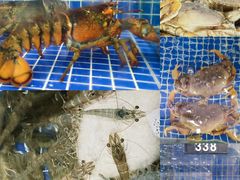 -明记海鲜大排档(巽寮湾店)
