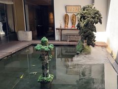 -觀芷隐轩