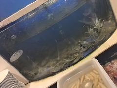 -海天盛宴新派海鲜自助餐厅(群力店)