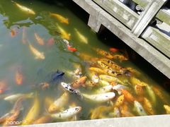 -荆川公园