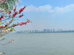 -无锡蠡湖国家湿地公园-蠡园