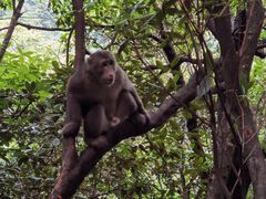 -萍乡武功山风景名胜区
