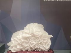 -湖南省地质博物馆