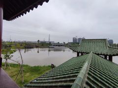 -王借岗森林公园