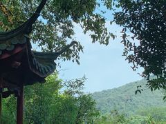 -杭州西湖风景名胜区-三生石
