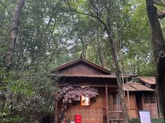 -兰亭风景区