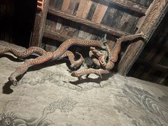 -张掖大佛寺景区