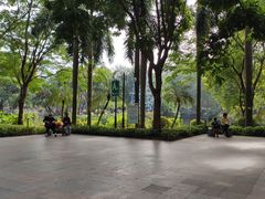 -晓港公园