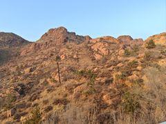 -红山国家森林公园