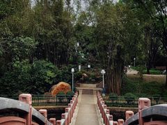 -深圳龙潭公园