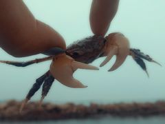 -那香海钻石沙滩浴场