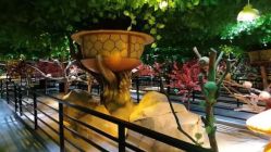 -酷嗒动物文化乐园(cutezoo西溪乐天城店)