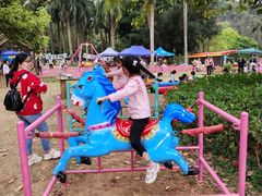 -南宁良凤江国家森林公园