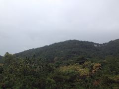 iphone_upload_pic-天柱山风景区