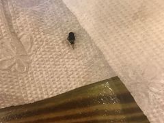 -哈老太太(联盟路店)