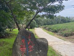 -南京市江宁方山