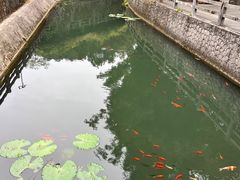 -广东温泉宾馆