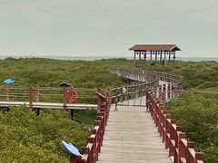 -北海金海湾红树林生态旅游区