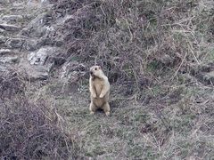 -黄河九曲第一湾