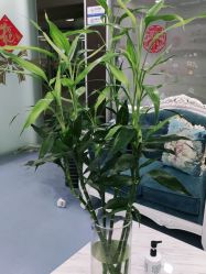 -蕾特恩专业祛痘国际连锁