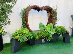 -半岛公馆(淞兴西路店)