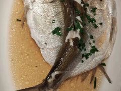清蒸白水鱼-壹只菜·崇明本地特色菜(崇明南门店)