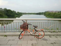 -松山湖南湖湾露营营地