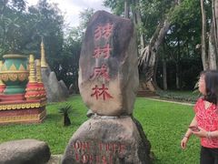 -瑞丽独树成林风景区