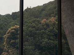 -知美术馆