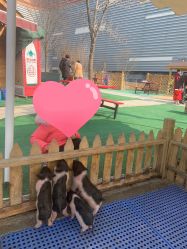 -萌宠亲子动物乐园(槐房万达店)