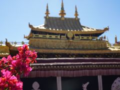 -小昭寺