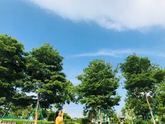 -东莞植物园