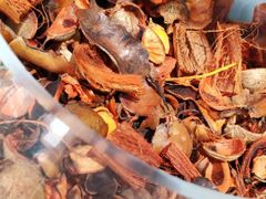 -大漂亮照相馆(宝龙一期店)