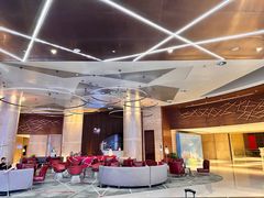 -南京禄口机场雅高铂尔曼大酒店