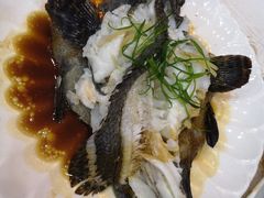 清蒸石斑鱼-覃记海鲜美食餐厅