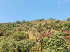 -杭州半山国家森林公园