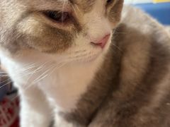 -平行世界·猫咖(首经贸店)