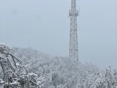 -紫金山山顶公园